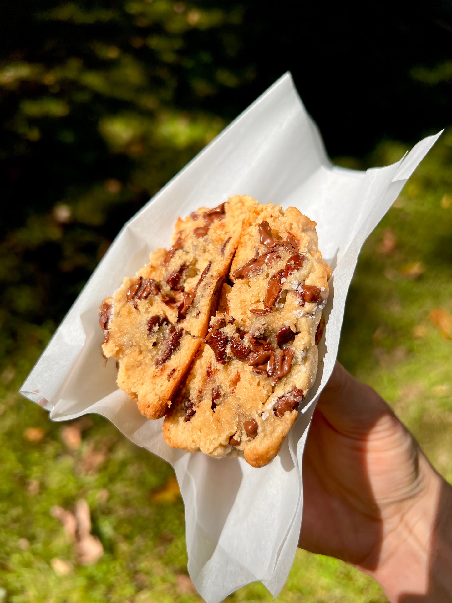 Chocolate Chip Cookie Box (FREE SHIPPING)