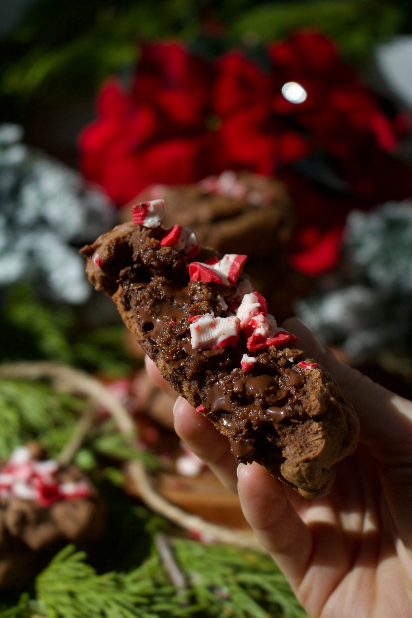 Chocolate Peppermint Cookie Box (FREE SHIPPING)