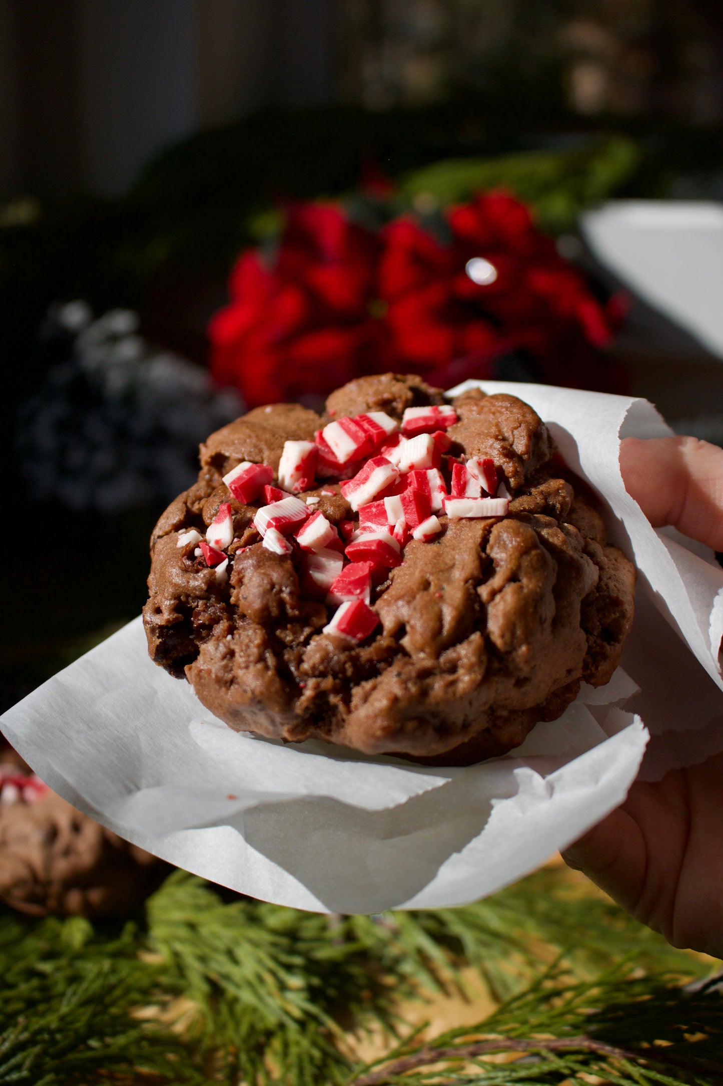 Chocolate Peppermint Cookie Box (FREE SHIPPING)