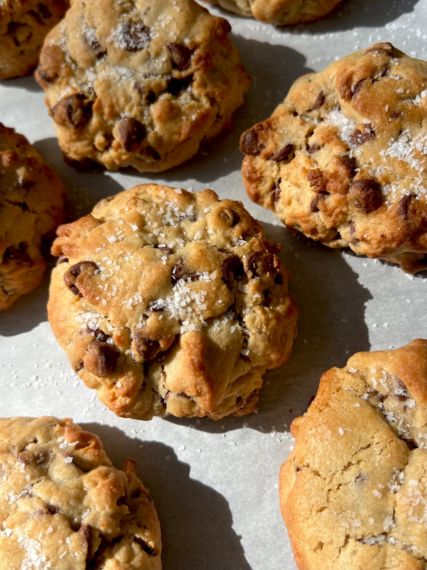 Chocolate Chip Cookie Box (FREE SHIPPING)
