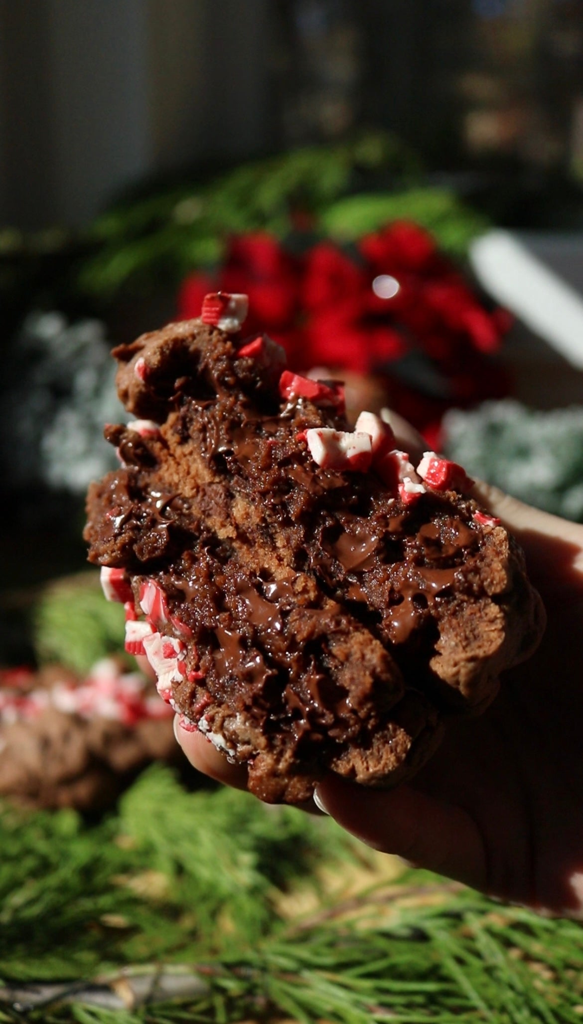Chocolate Peppermint Cookie Box (FREE SHIPPING)